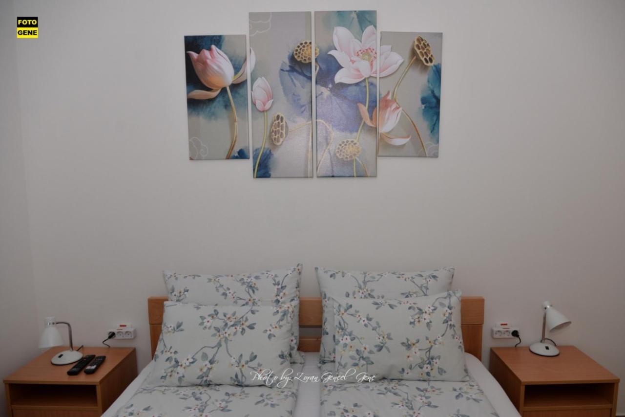 Apartment No 11 Σουμπότικα Εξωτερικό φωτογραφία
